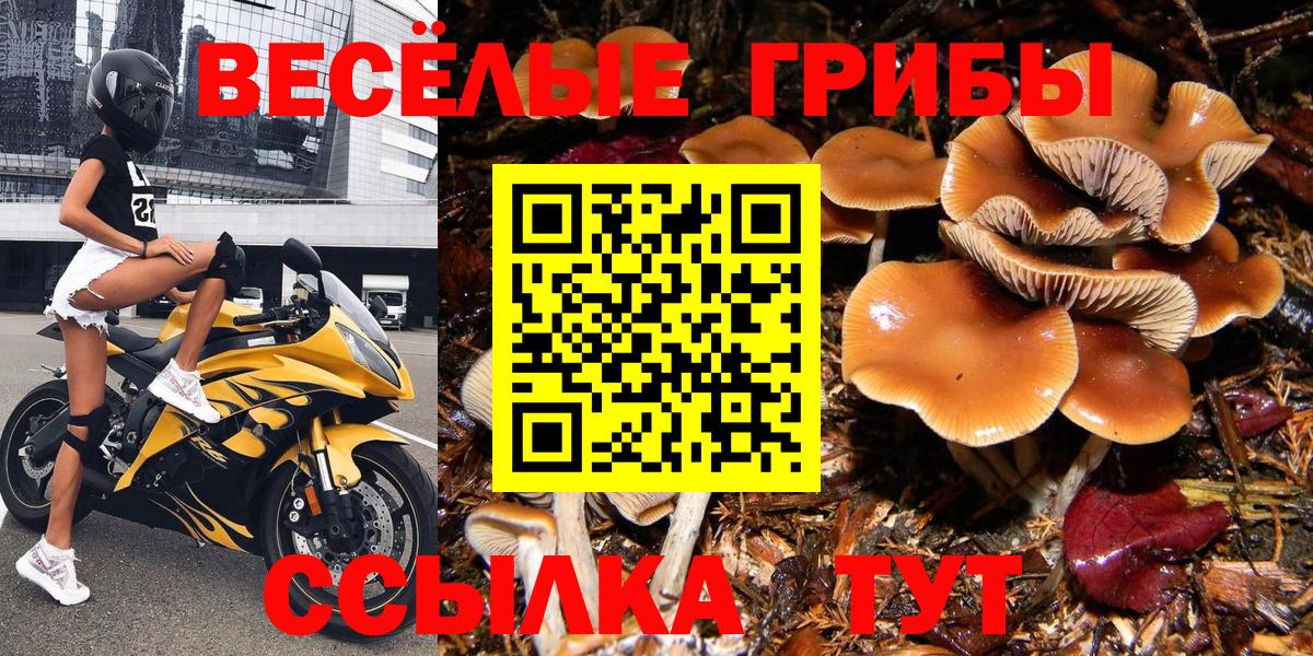 Галлюциногенные грибы ЛСД Нерюнгри