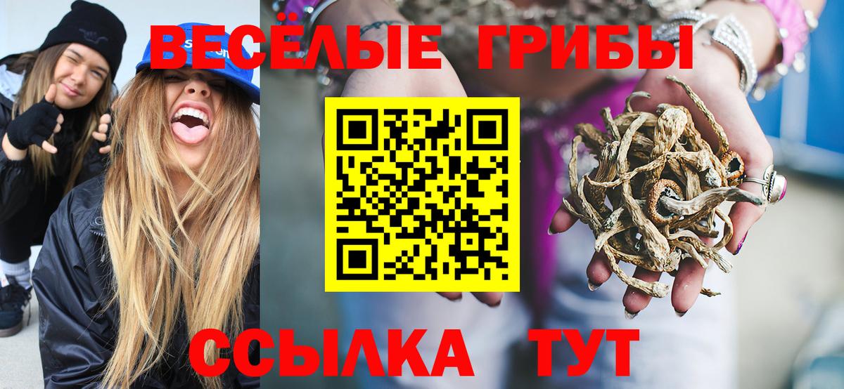как найти закладки  Вход с VPN  Псилоцибиновые грибы GOLDEN TEACHER  Нерюнгри  Псилоцибиновые грибы Psilocybe 